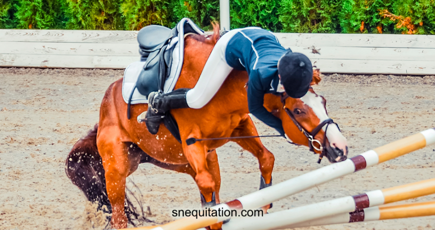 Comment éviter au maximum les blessures en cas de chute de cheval ?